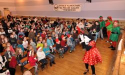 Arbre De Nol Spf   017